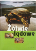 Żółwie lądowe
