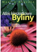 Atlas kieszonkowy Byliny