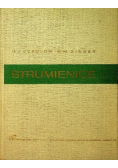 Strumienice