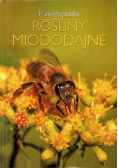 Rośliny miododajne