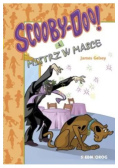 Scooby-Doo! i Mistrz w Masce