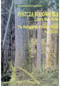 Puszcza Białowieska cztery pory roku