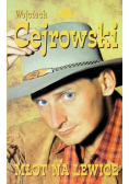 Młot na lewice
