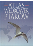 Atlas wędrówek ptaków