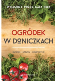 Ogródek w doniczkach