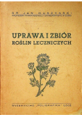 Uprawa i zbiór roślin leczniczych