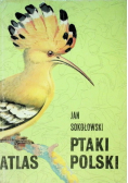Atlas Ptaki Polski