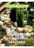 Rośliny do ogródka skalnego