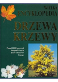 Wielka encyklopedia. Drzewa, krzewy