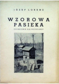 Wzorowa pasieka. Podręcznik dla pszczelarzy, 1938 r.
