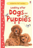 Looking after Dogs and Puppies