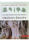 Ilustrowana encyklopedia drzewa świata