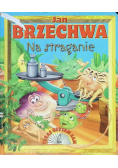 Na straganie