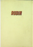 Rudin powieść 1950 r.