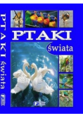 Ptaki świata