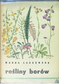 Rośliny borów