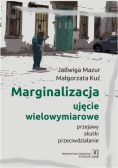 Marginalizacja  ujęcie wielowymiarowe