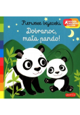 Akademia mądrego dziecka. Dobranoc, mała pando!