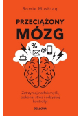 Przeciążony mózg
