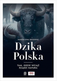 Dzika Polska. Tam, gdzie wciąż rządzi natura