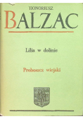 Komedia Ludzka Tom XIX Lilia w dolinie Proboszcz wiejski