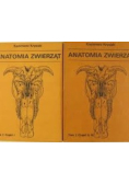 Anatomia zwierząt Tom I  Część I do III