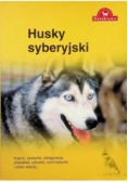 Husky syberyjski
