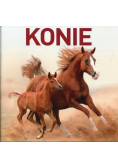 Konie