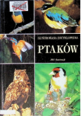 Ilustrowana Encyklopedia Ptaków