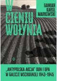 W cieniu Wołynia Antypolska akcja OUN i UPA w Galicji Wschodniej 1943 - 1945