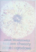 Krajowe chwasty polne i grodowe