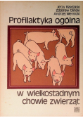 Profilaktyka ogólna w wielkostadnym