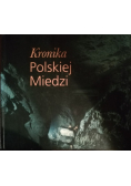 Kronika Polskiej Miedzi