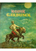 Konik Garbusek