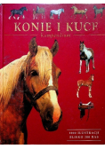 Konie i kuce Kompendium