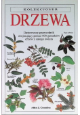 Drzewa