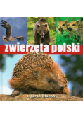 Zwierzęta Polski