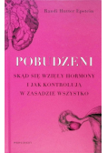 Pobudzeni