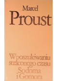 W poszukiwaniu straconego czasu Tom 4 Sodoma i Gomora