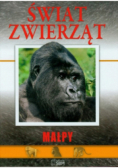 Świat zwierząt Małpy