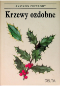Leksykon przyrody Krzewy ozdobne