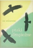 Ptaki drapieżne