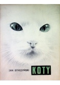 Styczyński Koty