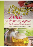 Zioła w domowej aptece