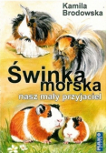 Świnka morska nasz mały przyjaciel