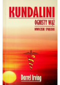 Kundalini Ognisty Wąż Nowoczesne spojrzenie