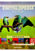 Encyklopedia przyrody Tom 40 Zwierzęta Ptaki Ostoje