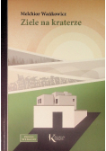 Ziele na kraterze