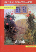 Antek