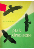Ptaki drapieżne